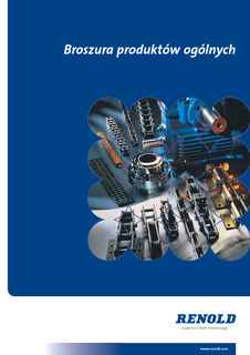 renold,łańcuchy,lancuchy,sprzęgla,sprzęgła,motoreduktory,przekładnie,przegląd,produktów
